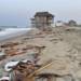 virmuze museum Shifting Shores: The Cost of Coastal Overdevelopment in Eastern N.C. logo thumbnail