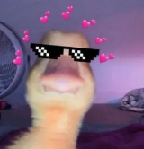 virmuze user avatar adhya_da_goat